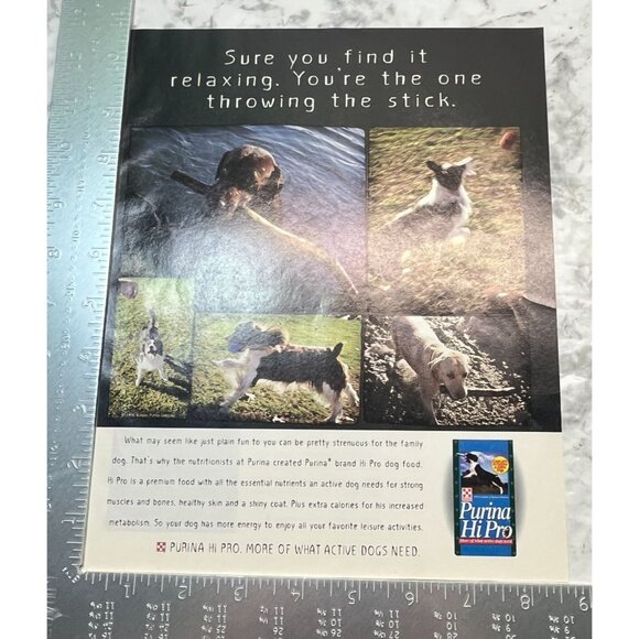 Purina Hi Pro Dog Food Print Ad Vintage 90s Active Dogs Stick Throwing - Picture 2 of 5